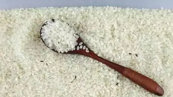 防止米生虫的方法