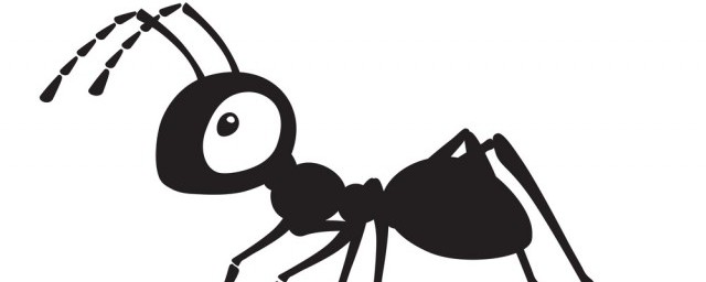 蚂蚁的益处和害处 蚂蚁有哪些益处和害处呢