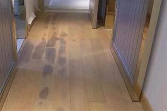 家里地板黏糊糊的怎么办（专家回答）