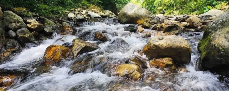 泉水可以直接饮用吗