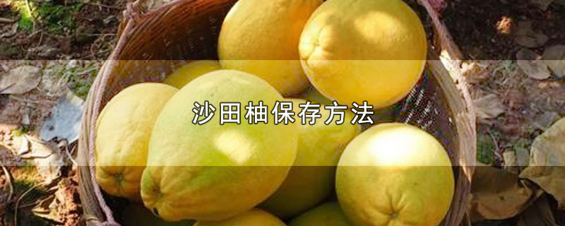 沙田柚保存方法