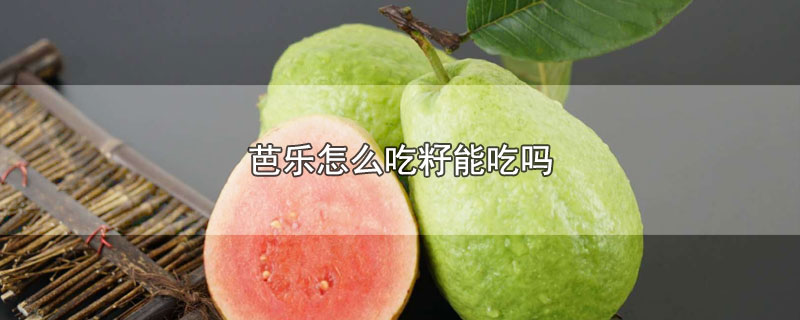 芭乐怎么吃籽能吃吗