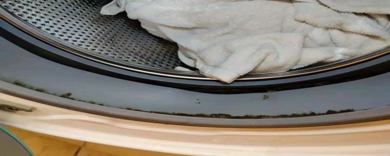 洗衣机脏了怎么办