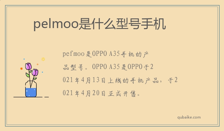 pelmoo是什么型号手机