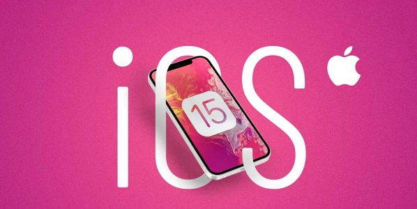 ios15描述文件与设备管理不见了怎么办?苹果ios15系统描述文件与设备管理不见了原因及解决方法