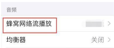 iPhone12怎么听无损音乐?iPhone12设置听无损音乐的方法截图